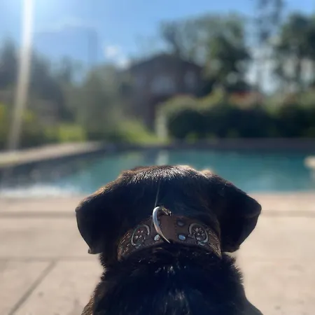 Relais Daia * Peyssies