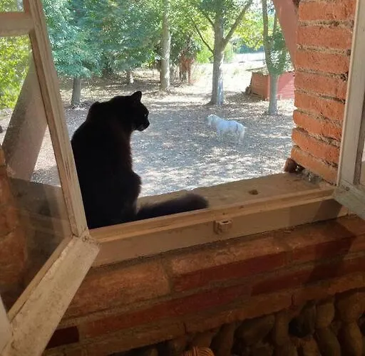 Relais Daia ベッド・アンド・ブレックファスト