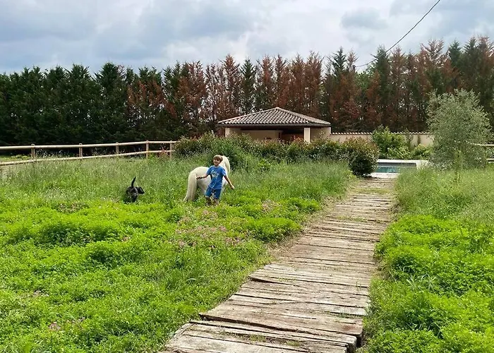 ベッド・アンド・ブレックファスト Relais Daia *