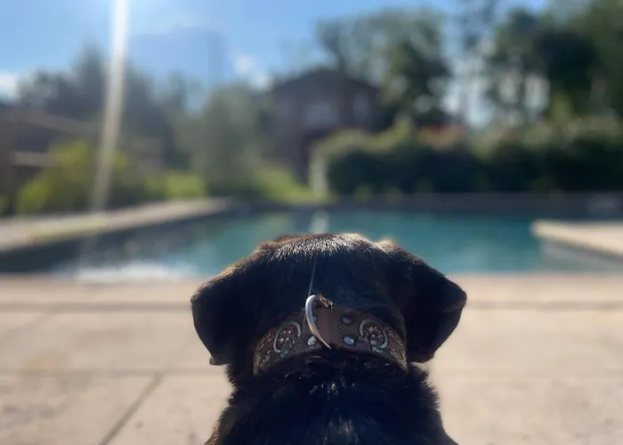 Relais Daia * Peyssies