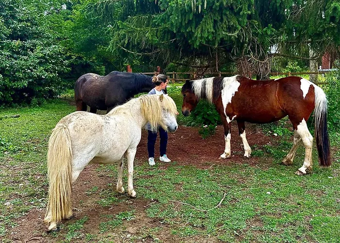 ベッド・アンド・ブレックファスト Relais Daia