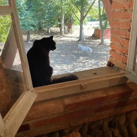 Relais Daia Oda ve Kahvaltı