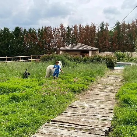 Bed and breakfast Relais Daia *